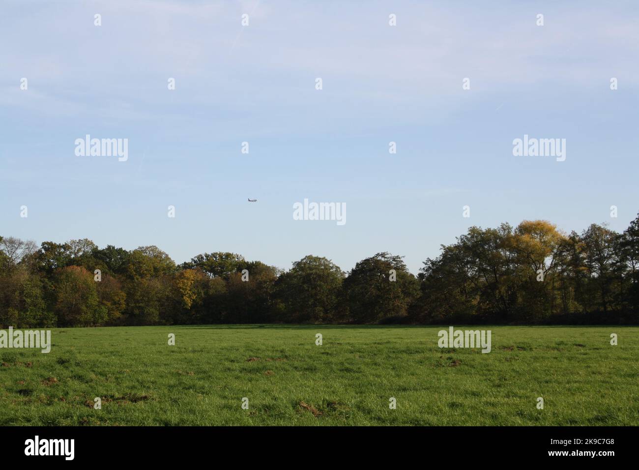 Schwanheimer prato a Francoforte all'inizio dell'autunno con l'aereo in avvicinamento sul cielo Foto Stock