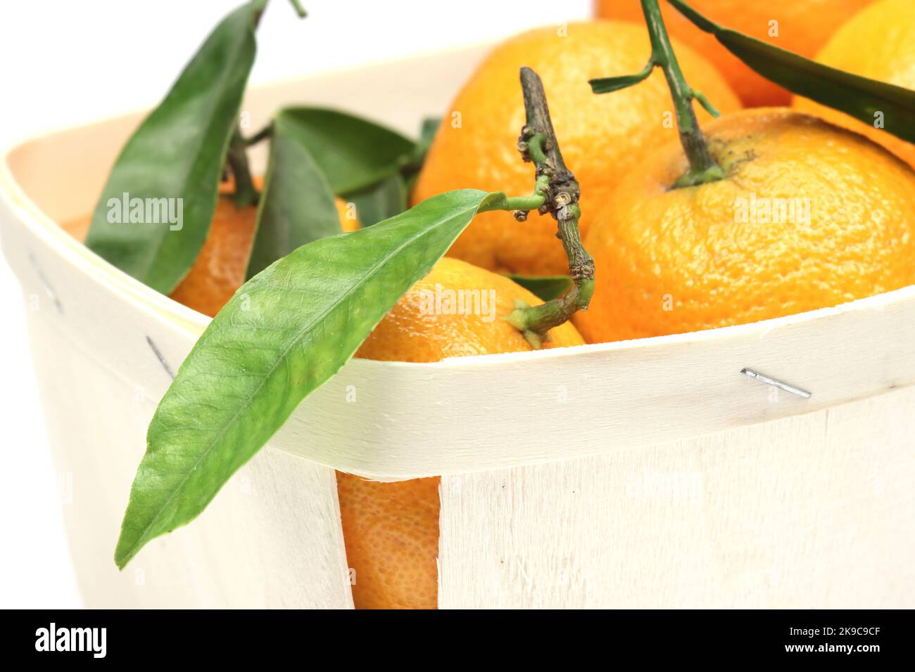 clementina mandarina con bella foglia Foto Stock