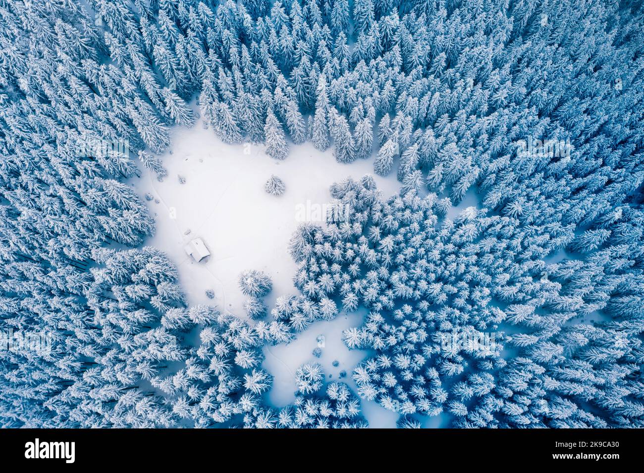 La cima del drone aereo vola sopra la foresta invernale di abete rosso e pino con cabina in legno. Abeti nella valle montana ricoperta di neve. Fotografia di paesaggio Foto Stock