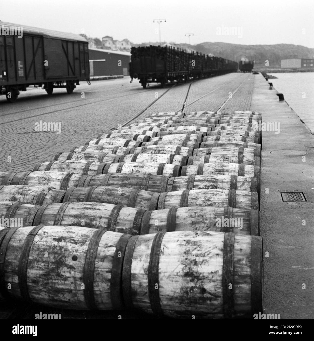 Trasporto di barili Foto Stock