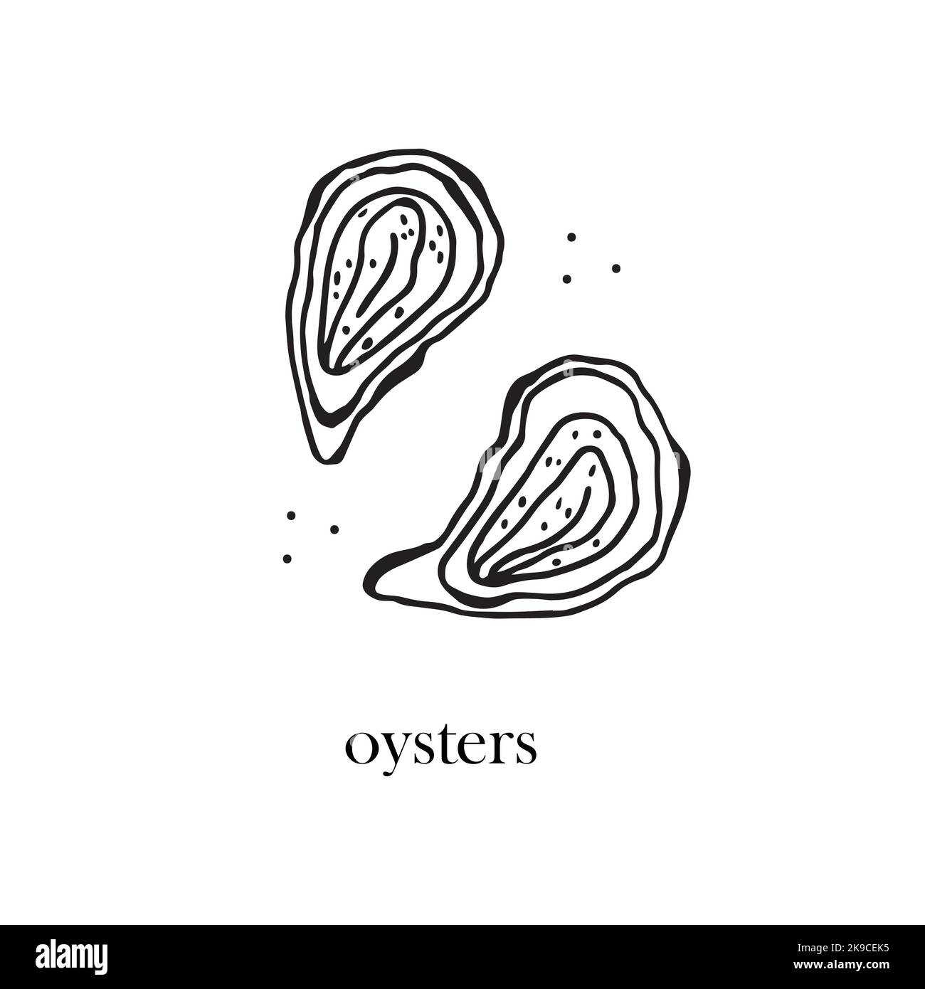 Illustrazione vettoriale di ostriche fresche in conchiglie. Frutti di mare. Illustrazione disegnata a mano. Illustrazione Vettoriale