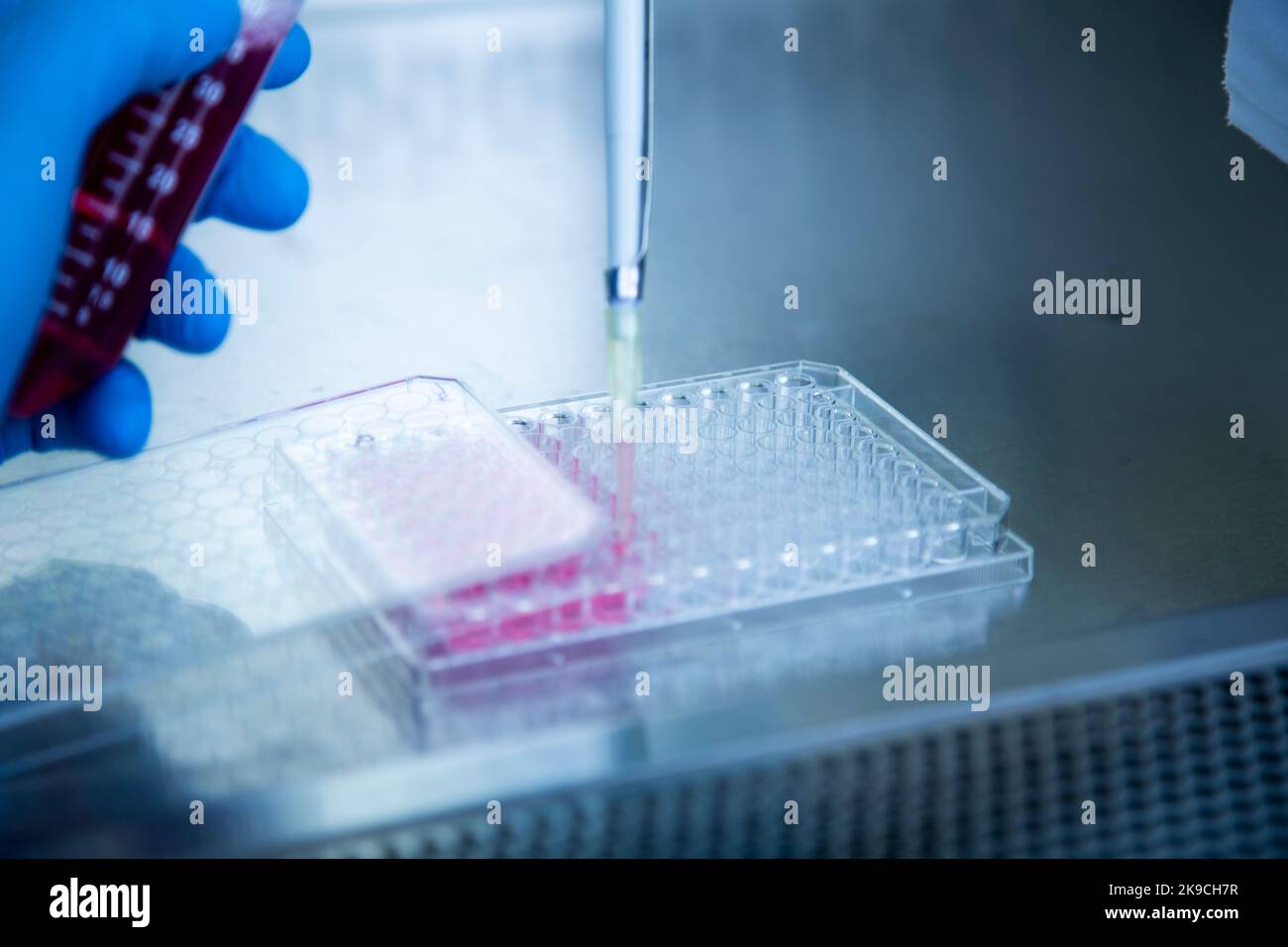 laboratorio di coltura cellulare, medicina, medicina e biologia Foto Stock