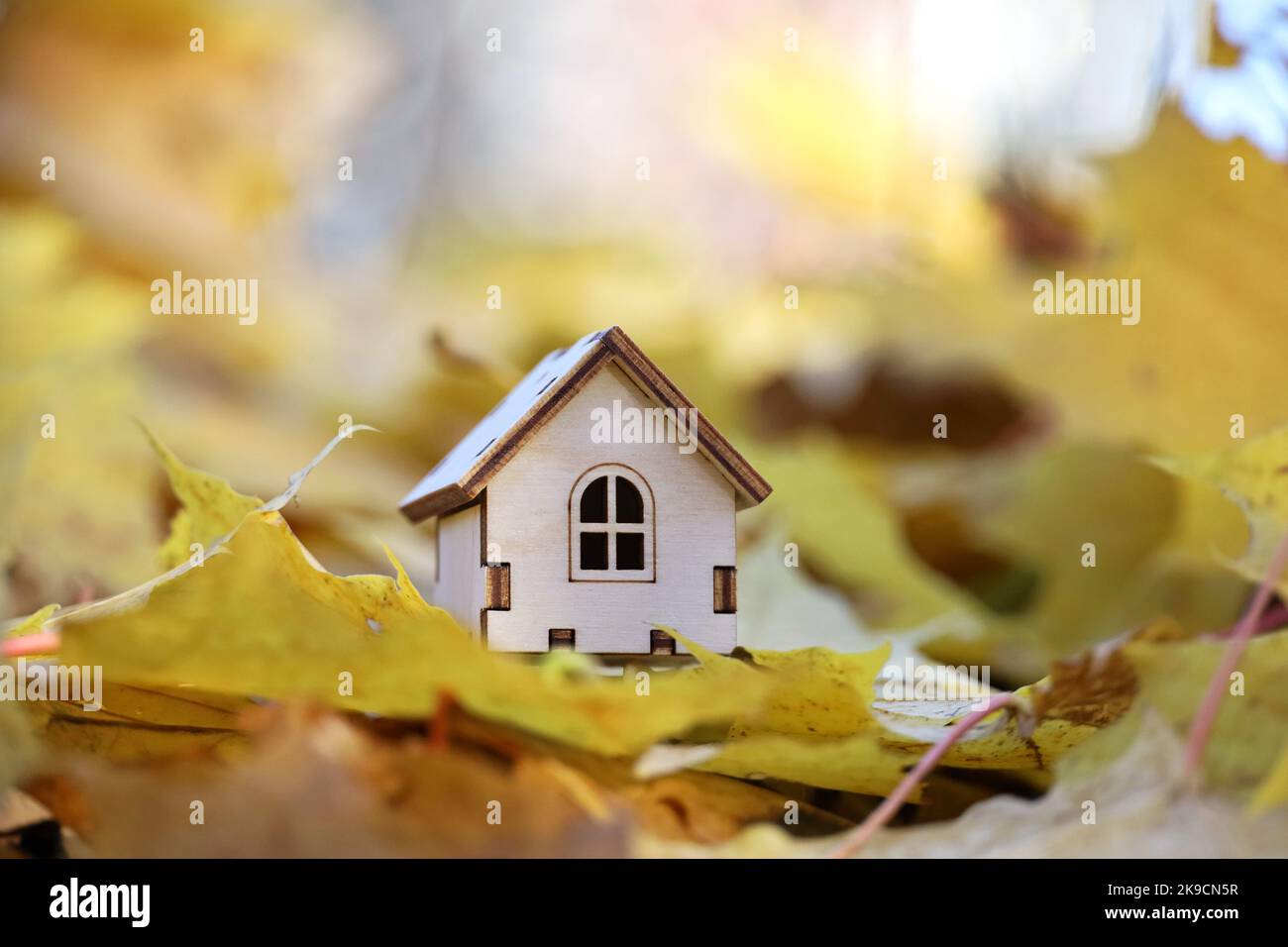 Piccolo modello di casa in legno su sfondo acero foglie. Concetto di casetta di campagna, ricerca di alloggi in autunno, immobiliare in zona ecologicamente pulita Foto Stock