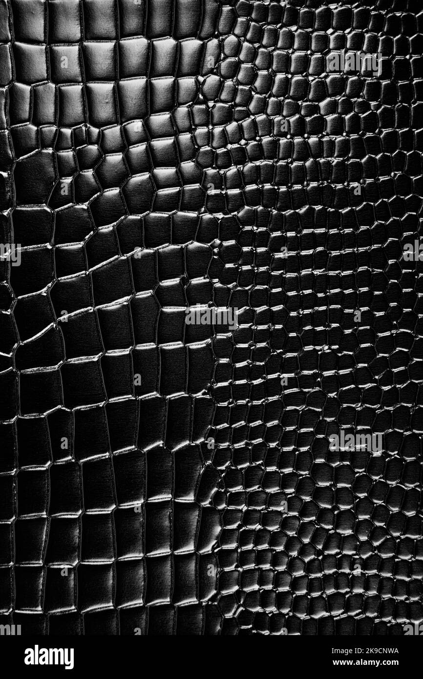 primo piano della pelle nera in crodile Foto Stock