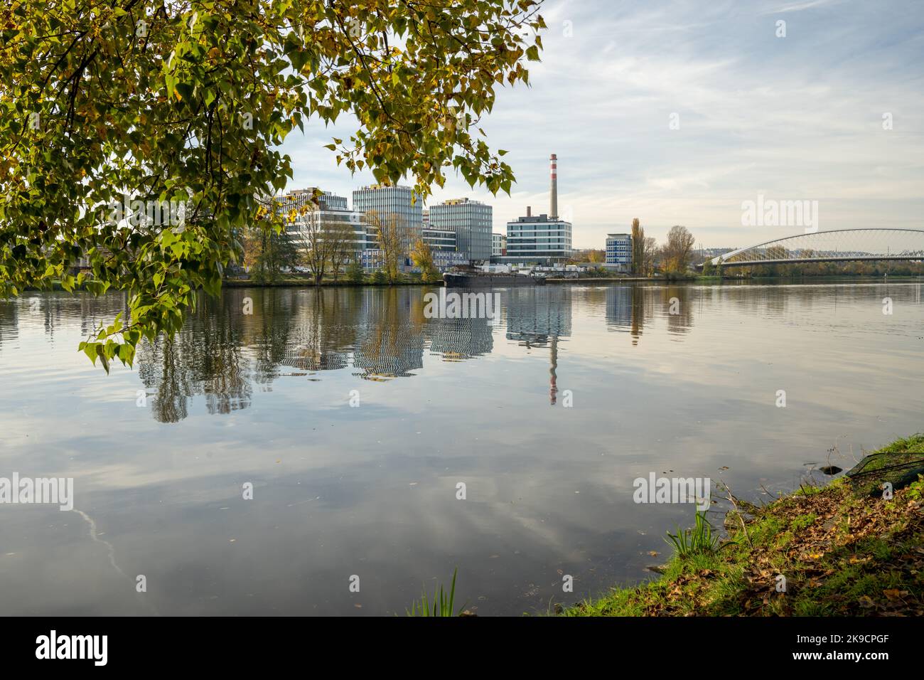 un corpo d'acqua circondato da alberi Foto Stock