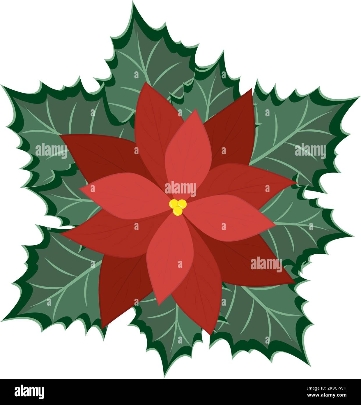 Natale tradizionale avvelenamento rosso closeup sullo sfondo bianco. Decorazione di Natale, illustrazione vettoriale. Illustrazione Vettoriale