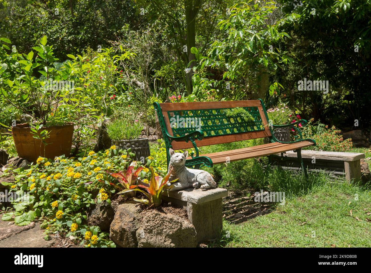 Panca decorativa del giardino di legno e ferro battuto in giardino congestionato con lussureggiante fogliame e fiori colorati, in Australia Foto Stock