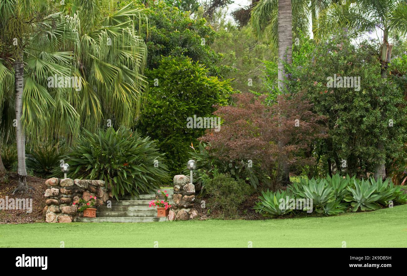 Giardino con scalini di pietra che conducono dal prato verdeggiante al giardino congestionato con palme e altri alberi ombreggianti con arbusti in primo piano, in Australia Foto Stock