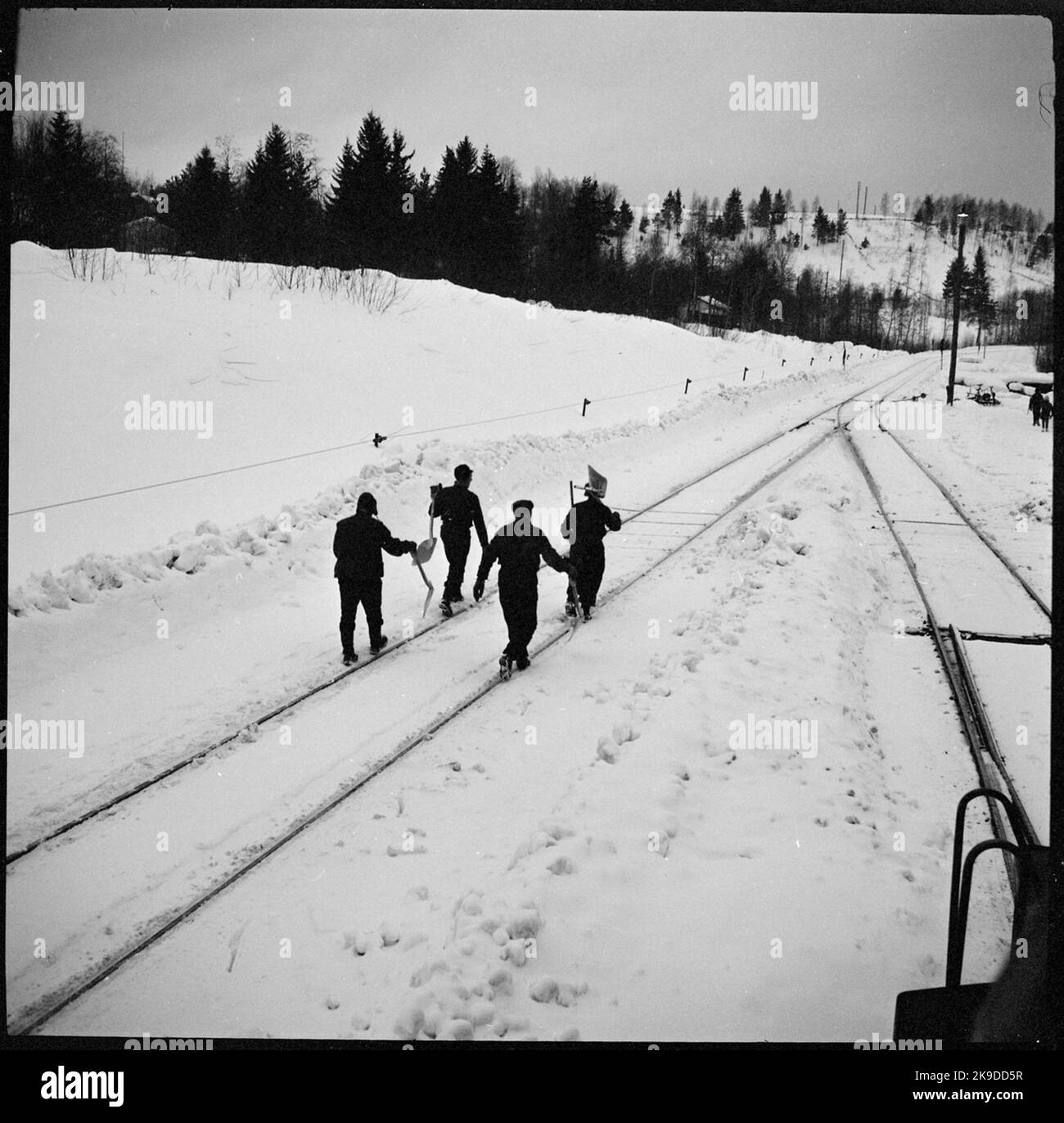 L'altalena si sta muovendo a Ådalsliden. Foto Stock