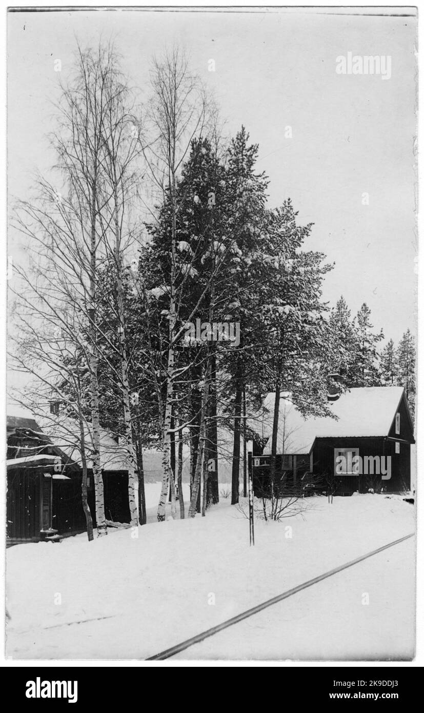 Guardia del cingolo di Björkbäcken. Linea Vansbro-Brintbodarne. Foto Stock