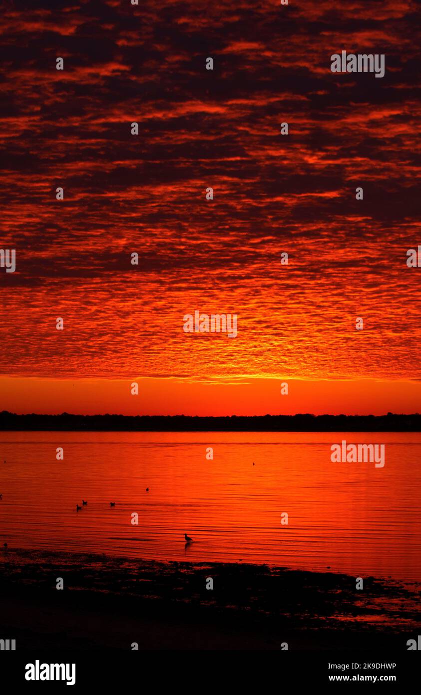 L'alba del porto di New Haven, Sandy Point Beach & Bird Sanctuary, West Haven, Connecticut Foto Stock