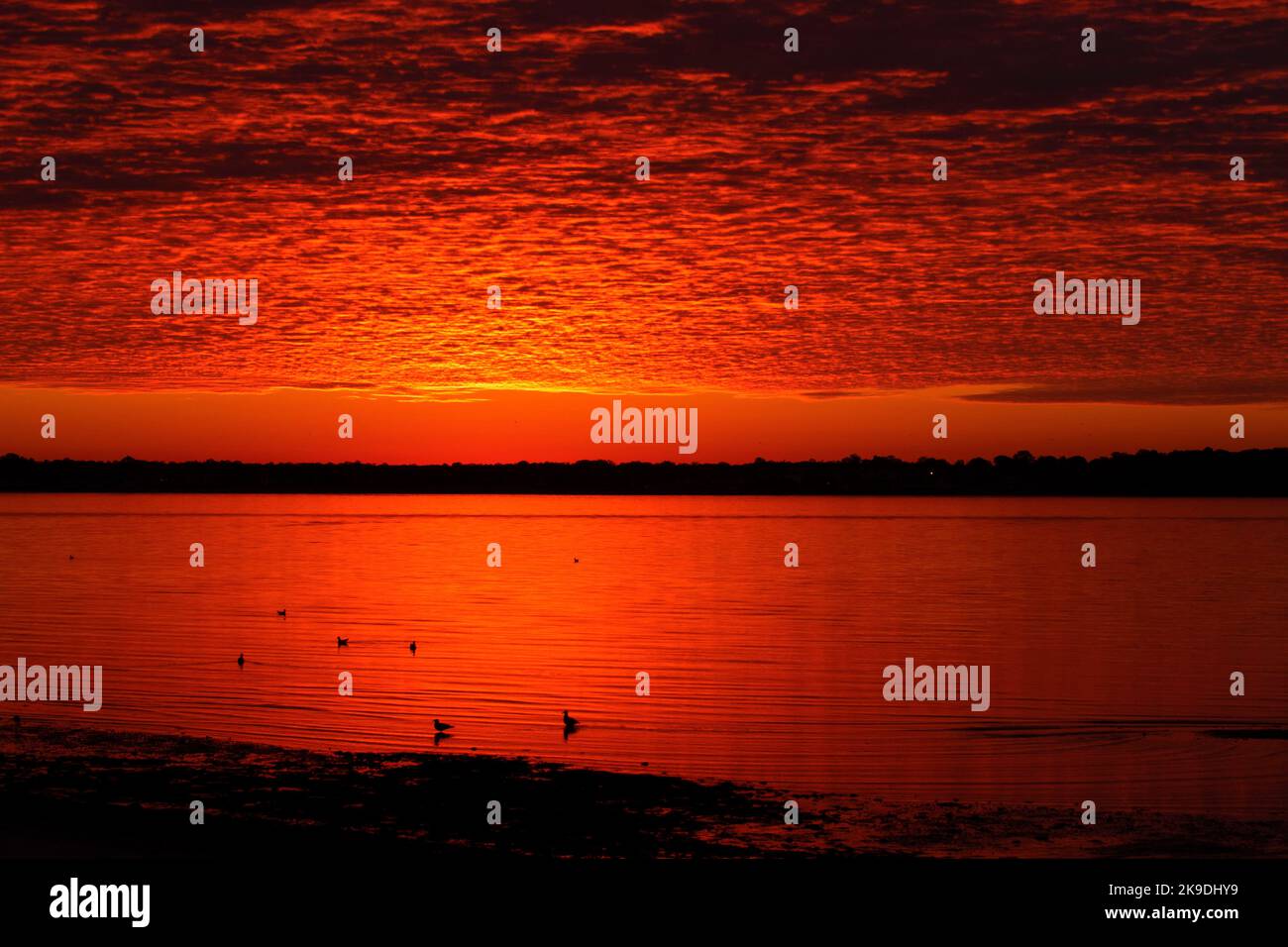 L'alba del porto di New Haven, Sandy Point Beach & Bird Sanctuary, West Haven, Connecticut Foto Stock