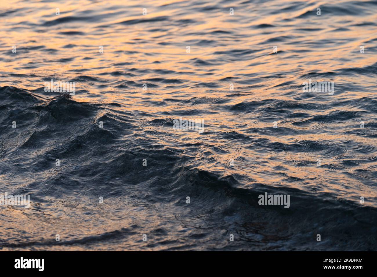 L'onda di mare spruzza da vicino. Ondulazione della superficie dell'acqua di mare con luce dorata del tramonto. Foto Stock