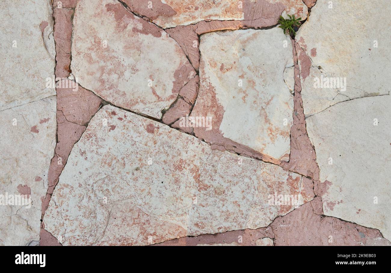 Struttura di sfondo in marmo rosa con pavimento in cemento rosso nella caffetteria Foto Stock