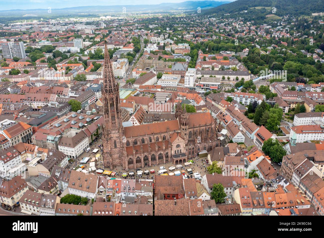 Freiburger Münster o Cattedrale di Friburgo o Friburgo Minster, Friburgo in Breisgau, Germania Foto Stock