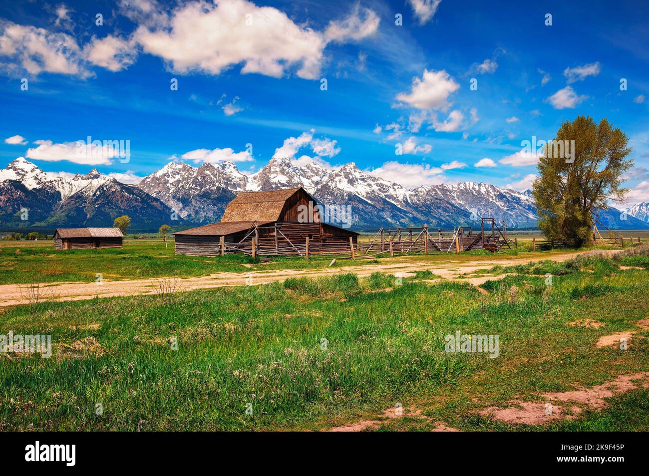 Storico John Moulton Barn a Mormon Row nel Grand Teton National Park, Wyoming Foto Stock