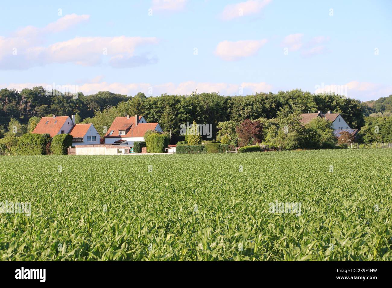 Impressionen aus der Stadt Menden im Sauerland Foto Stock