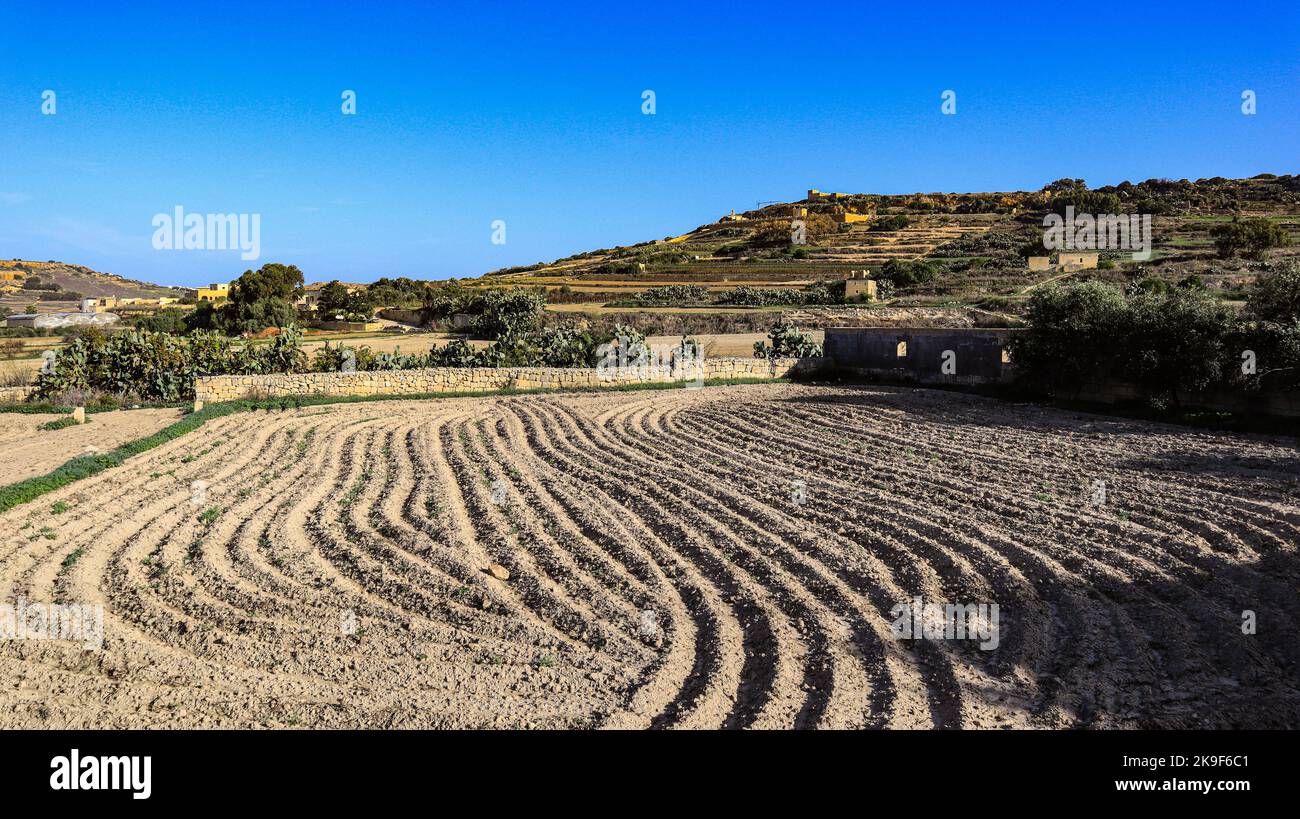 Un campo arato vicino a Victoria sull'isola mediterranea di Gozo nell'arcipelago maltese. Foto Stock