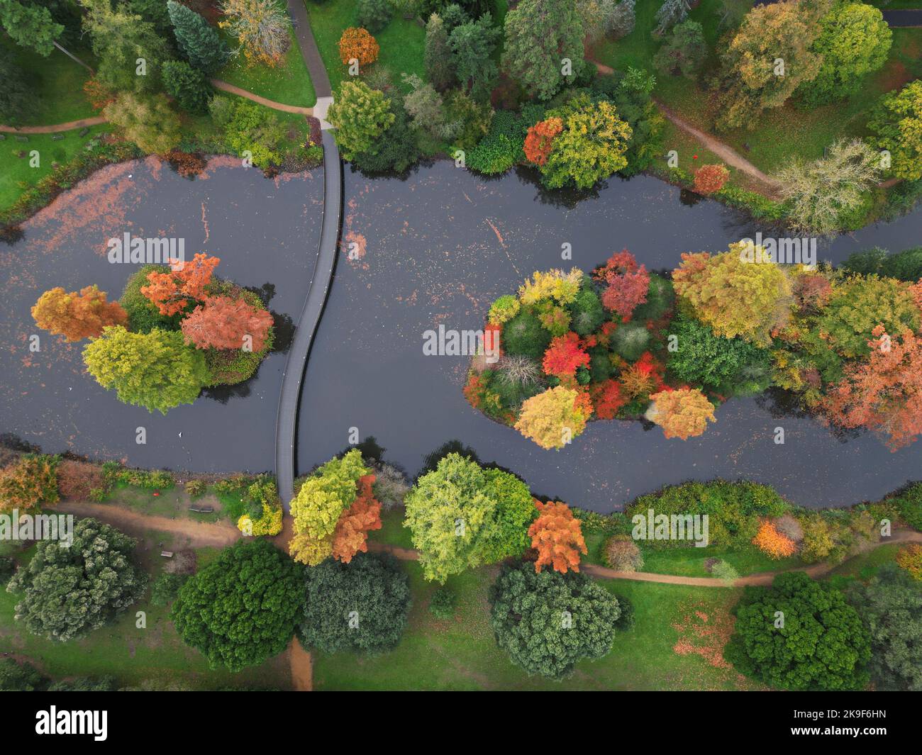 Colori autunnali in mostra ai Giardini Botanici reali di Kew. Il clima più caldo e asciutto, come si è visto in tutto il Regno Unito questa estate, e il cambiamento climatico potrebbe avere un grande impatto sul colore autunnale in futuro. Data immagine: Venerdì 28 ottobre 2022. Foto Stock