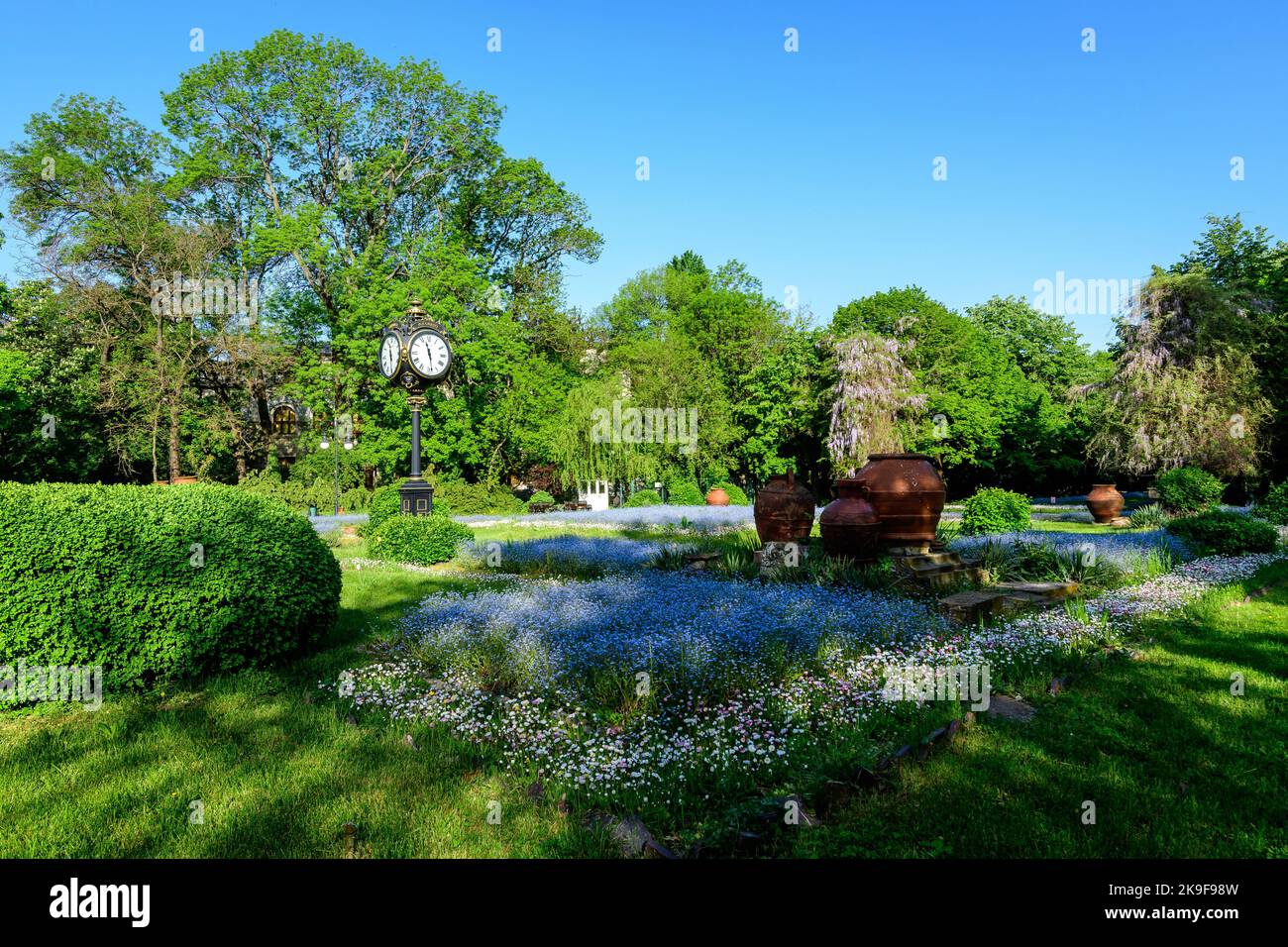 Paesaggio con alberi verdi, foglie, orologio d'annata e molti piccoli blu non dimenticarmi o Scorpion erbe fiori in una giornata di sole all'ingresso di Cismici Foto Stock