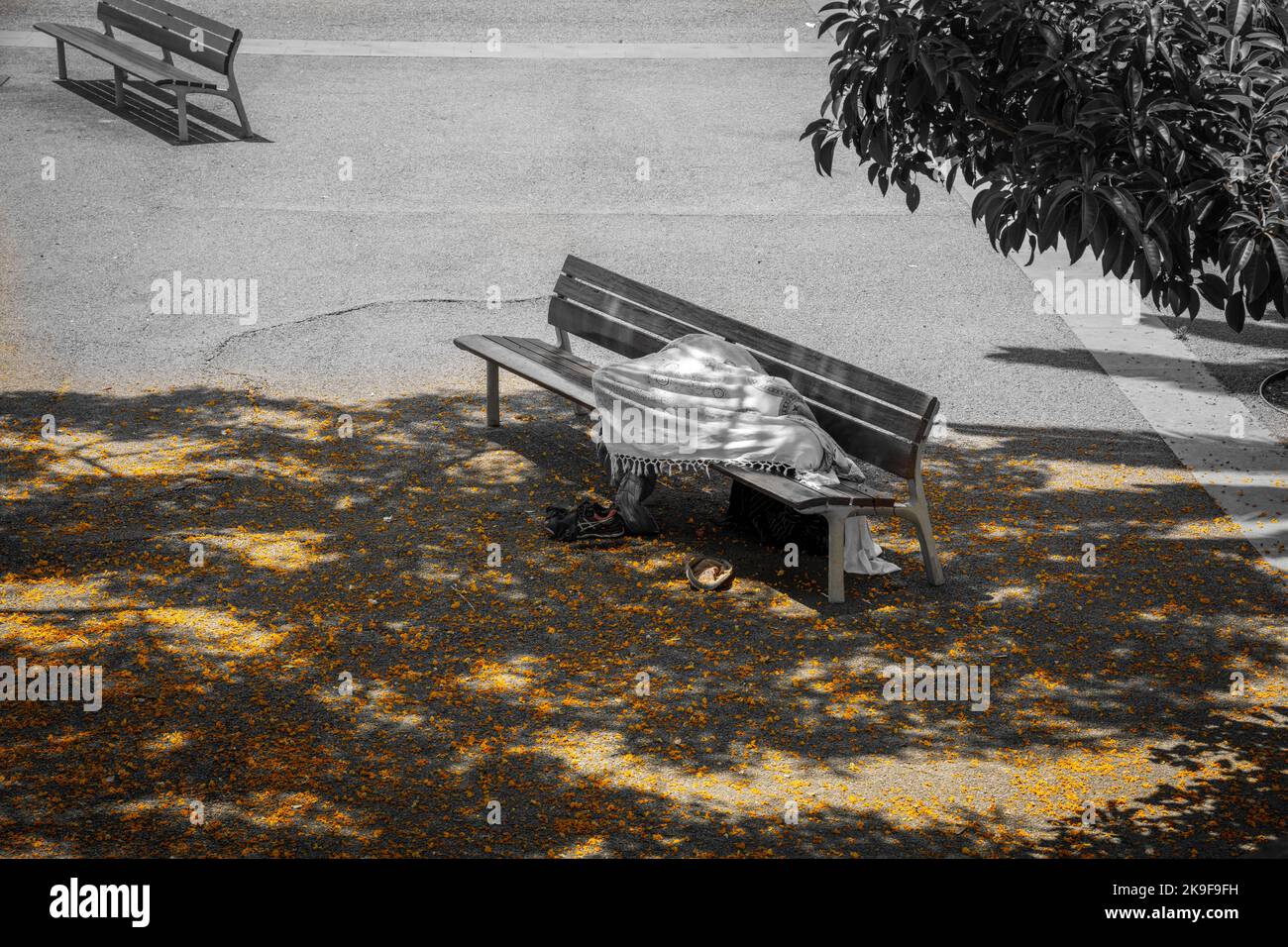 Beggier dorme su una panchina sotto una coperta con foglie gialle sull'asfalto di Barcellona Foto Stock