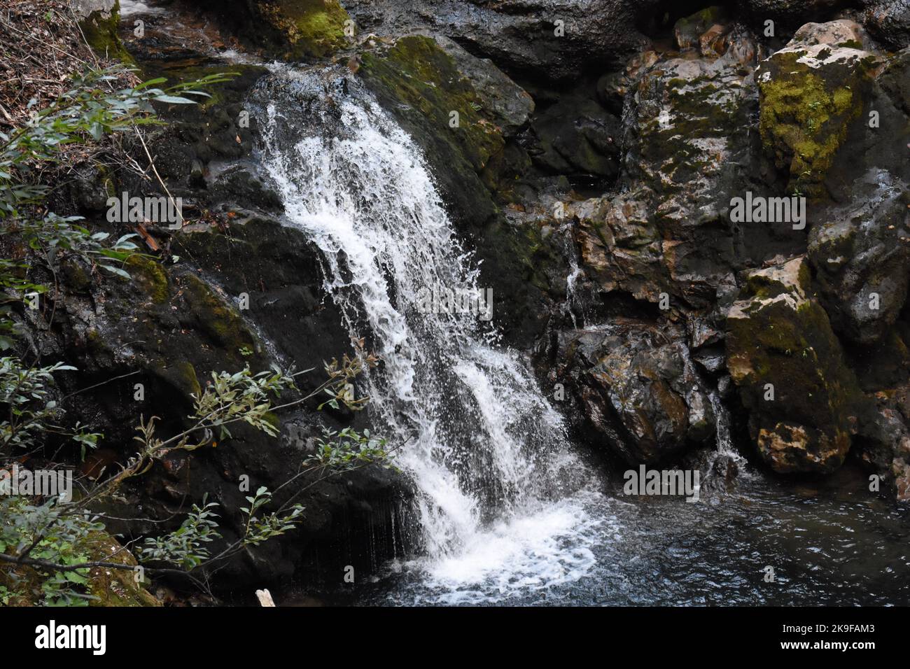 La cascata nel bosco Foto Stock