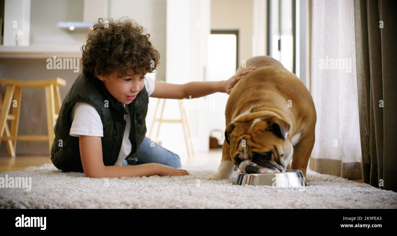 Credo che condividiamo un appetito simile. Colpo a tutta lunghezza di un ragazzo sdraiato sul pavimento e che gioca con il suo cane a casa. Foto Stock