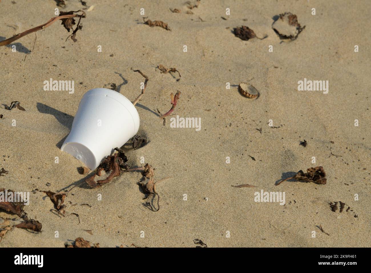 Inquinamento della plastica, tazza monouso, danni ecologici alla sabbia della spiaggia, ambiente inquinante dell'articolo, rifiuti di contenitori di alimenti brutti, consumismo Foto Stock