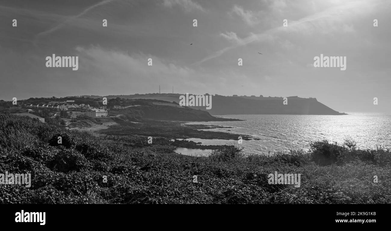 Letterbox, formato panorama monocromatico   al sole sul lato est di Plymouth Sound con Staddon Heights in lontananza e piante scogliera a Th Foto Stock