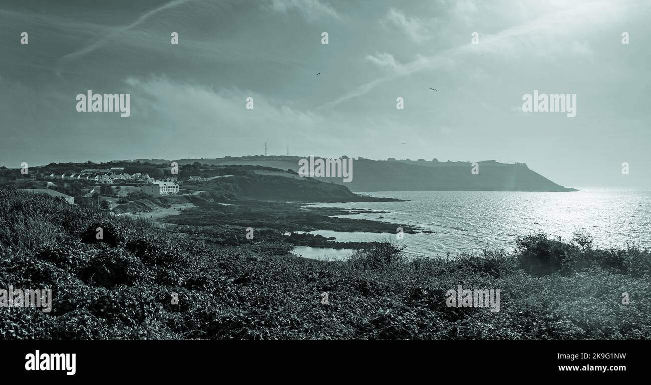 Letterbox, formato panorama Duotone   al sole sul lato est di Plymouth Sound con Staddon Heights in lontananza e piante sulla scogliera al f Foto Stock