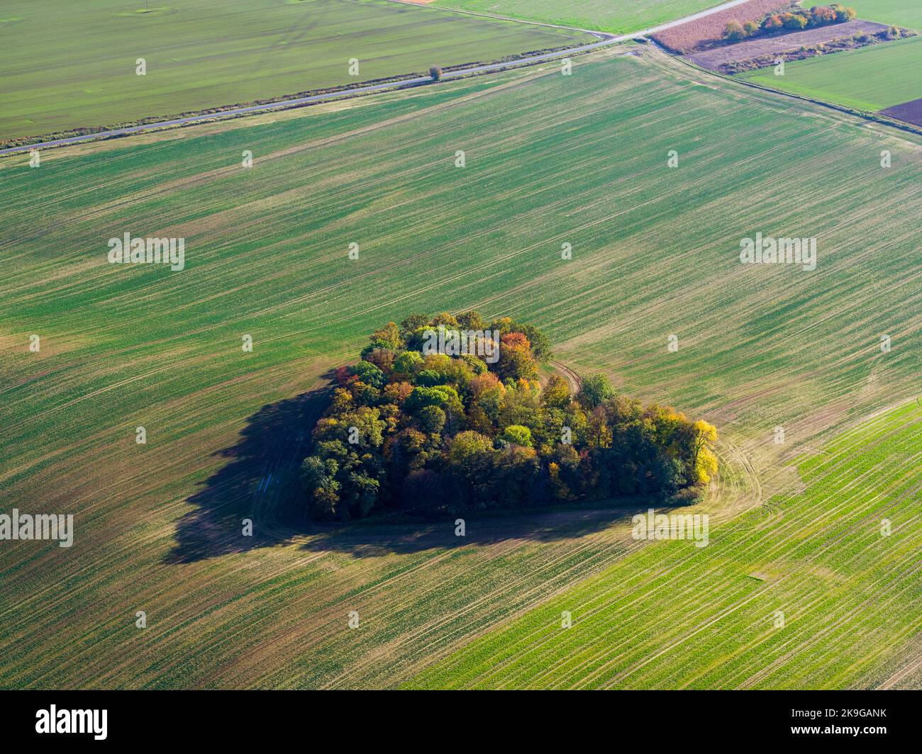 Cuore di una natura, vista aerea di autunno cuore a forma di foresta tra i campi agricoli Foto Stock