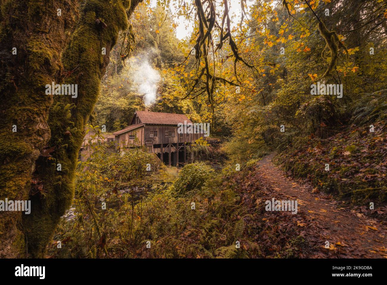 Atmosfera accogliente con vecchia cabina nella splendida foresta di boschi autunnali in una mattinata autunnale nello stato di Washington, Pacifico nord-occidentale Foto Stock
