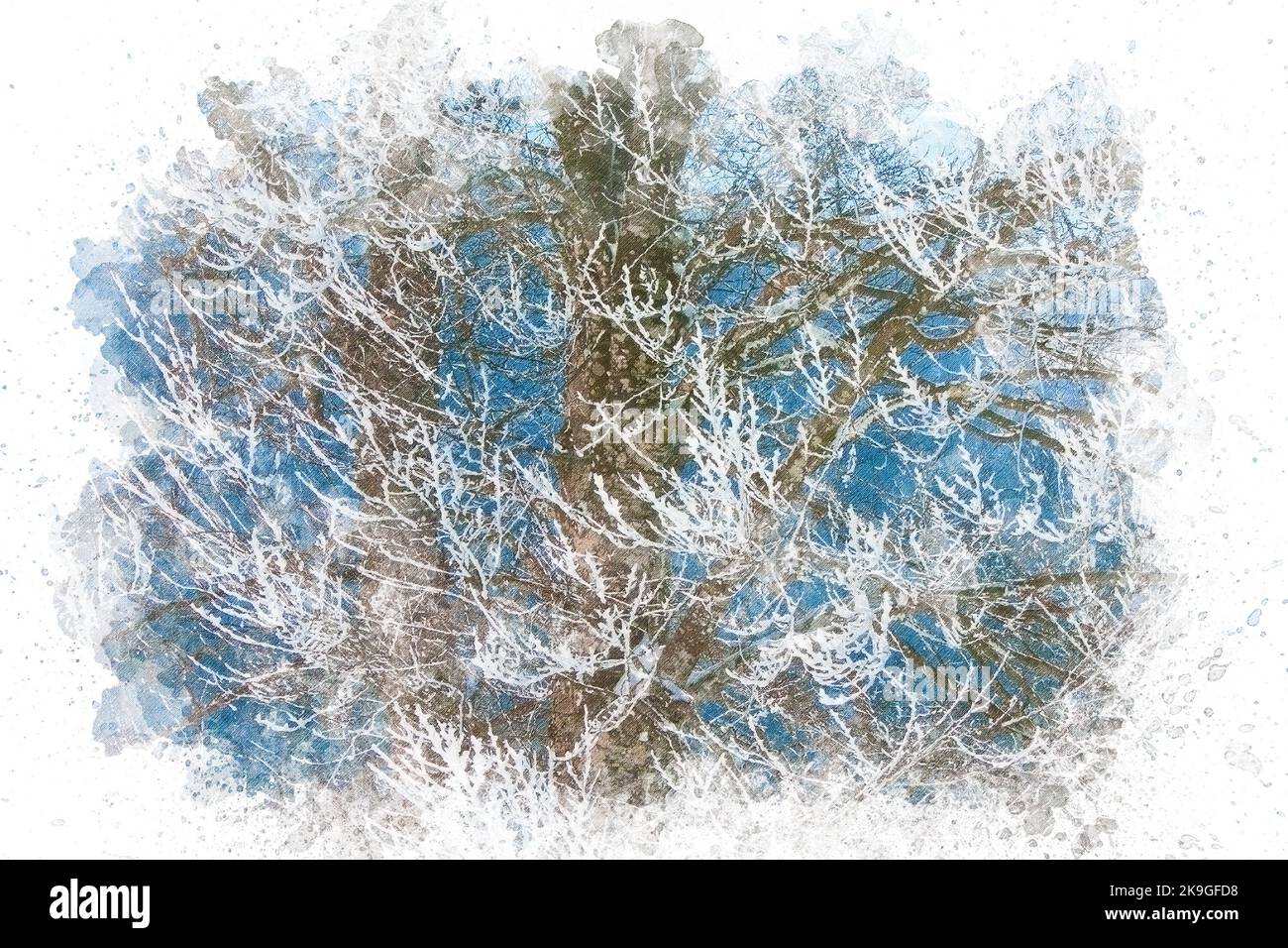 Pittura ad acquerello illustrazione di albero coperto di neve con rami di albero congelati. Sfondo invernale Foto Stock