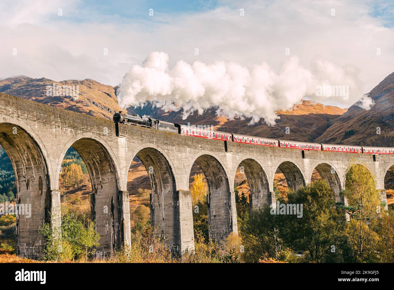 Treno Carino Con Animali Felici Divertenti Che Cavalcano Locomotiva Giocattolo Gm1566137169 527557488