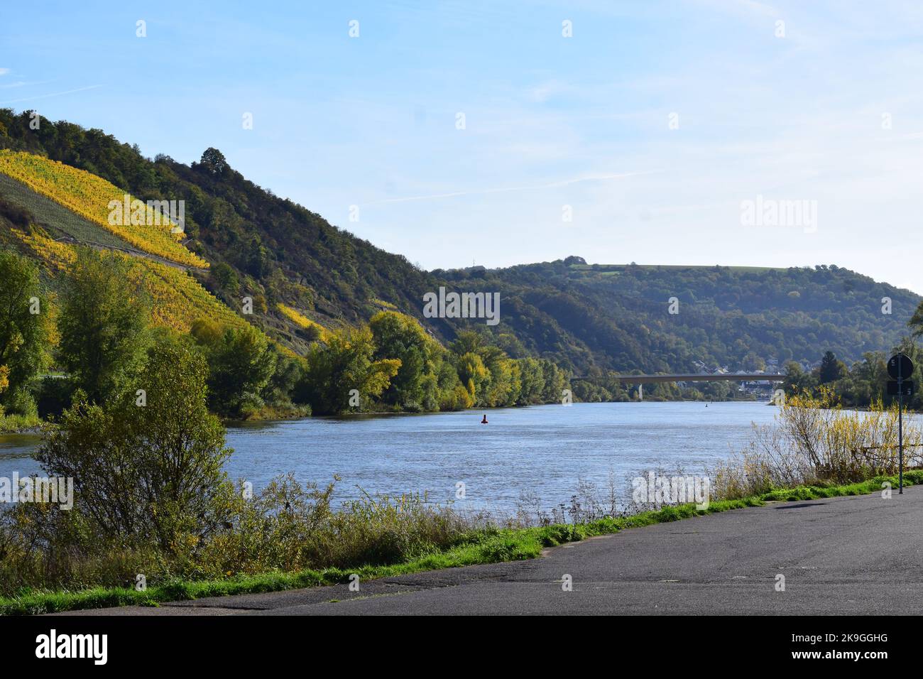 Vigneti autunnali nella bassa valle della Mosella Foto Stock