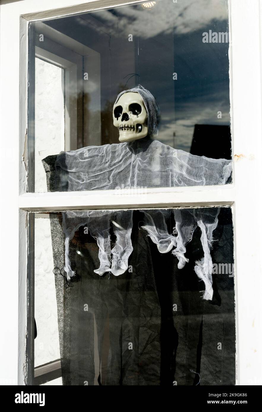 Figura di Halloween in una finestra, Regno Unito Foto Stock