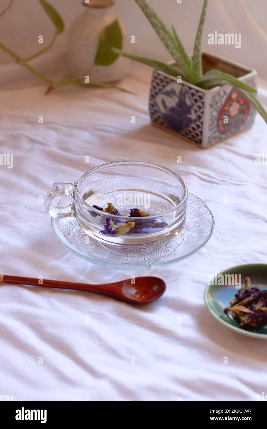 Una tazza di tè antiossidante ricco di erbe blu farfalla piselli per un pomeriggio rilassante autunno Foto Stock