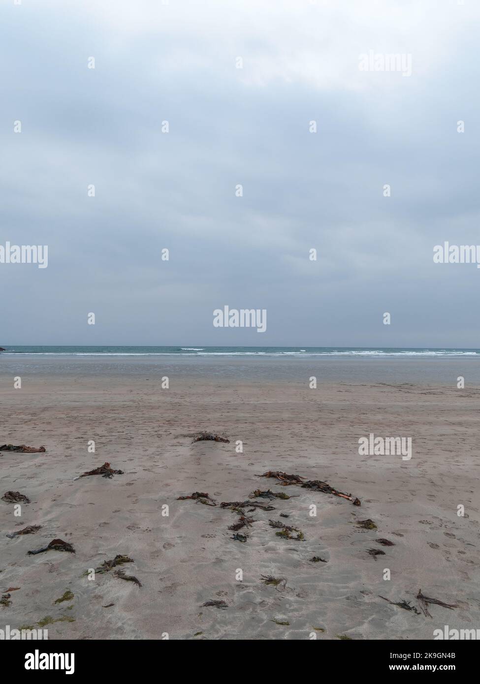 Alghe su una spiaggia. Tempo nuvoloso. Mare minimalista, la linea dell'orizzonte sopra il mare. Cielo nuvoloso. Foto Stock