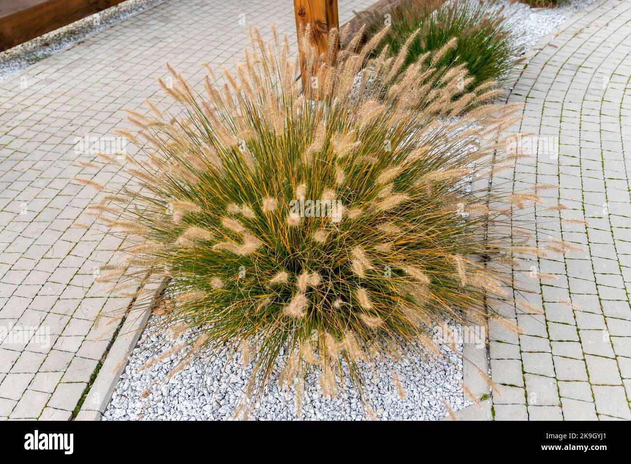 FUNOMOCYA Bandiere Giapponesi Decorazioni Per Ristoranti Izakaya Appendibili e Riutilizzabili Atmosfera Festiva Per Casa e Giardino