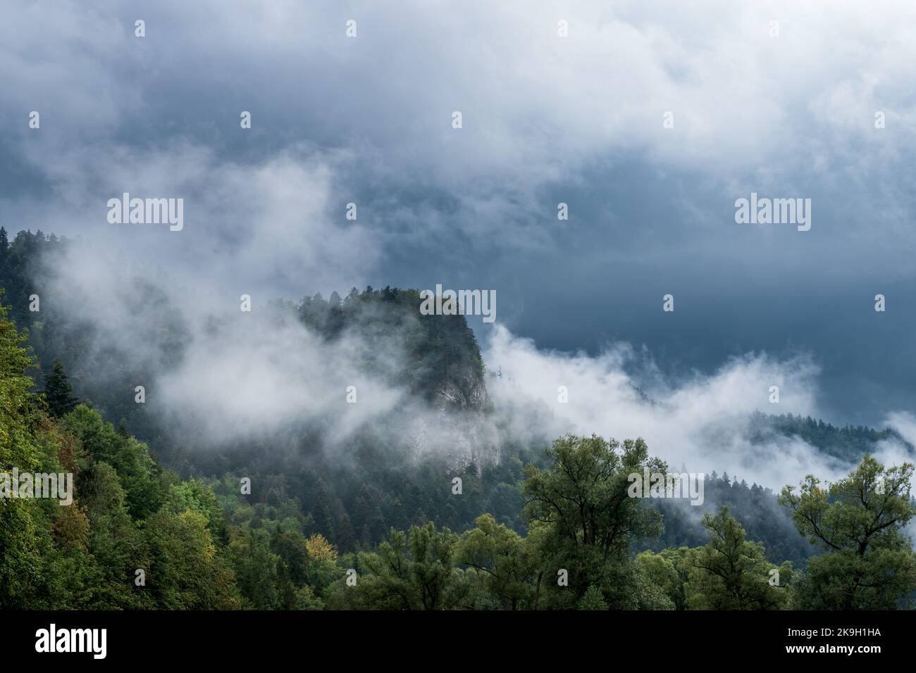 Picco roccioso della montagna coperta di foresta e circondata da nuvole. Giornata piovosa e nebbiosa nel Parco Nazionale di Pieniny, Polonia. Foto Stock