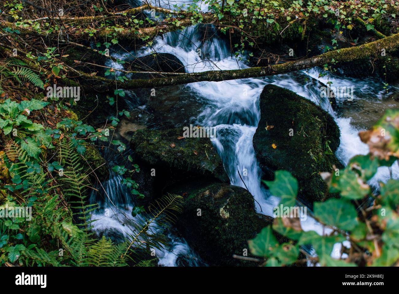 Cascata fluente in una foresta con rocce mossy Foto Stock