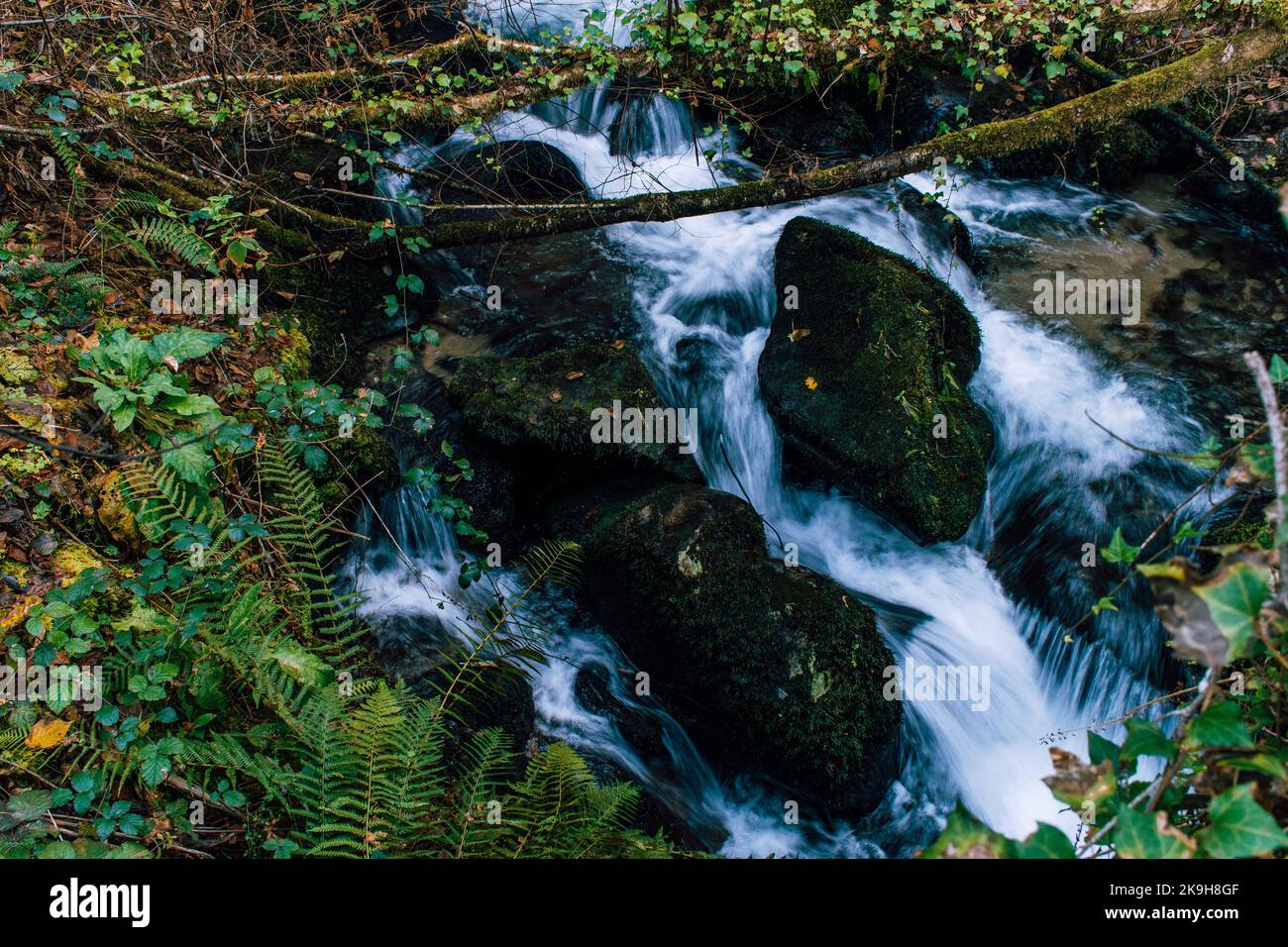 Cascata fluente in una foresta con rocce mossy Foto Stock