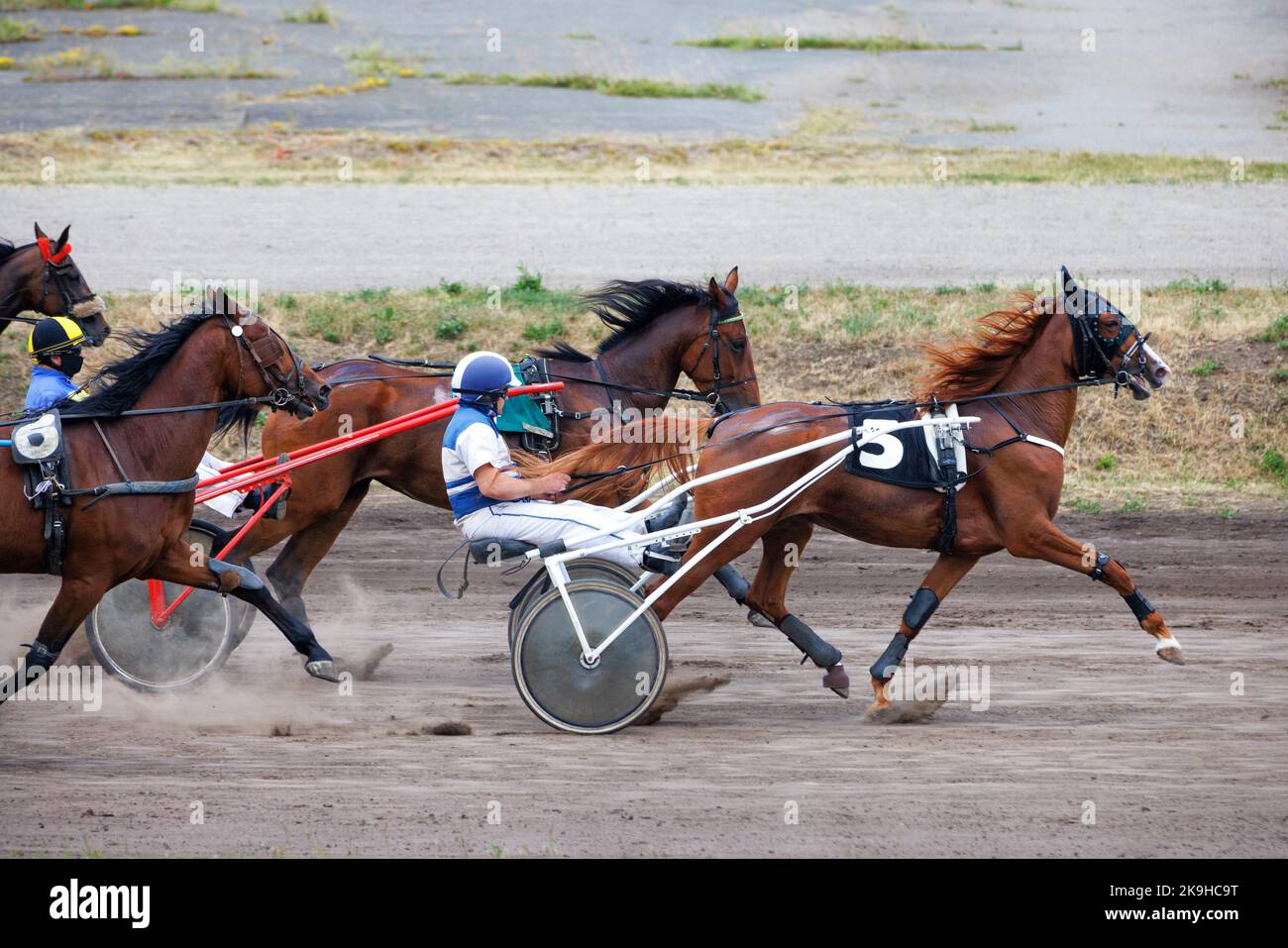 I cavalli di colore marrone imbrigliati ai carri corrono graziosamente lungo la pista polverosa dell'ippodrome in una giornata estiva. Foto Stock