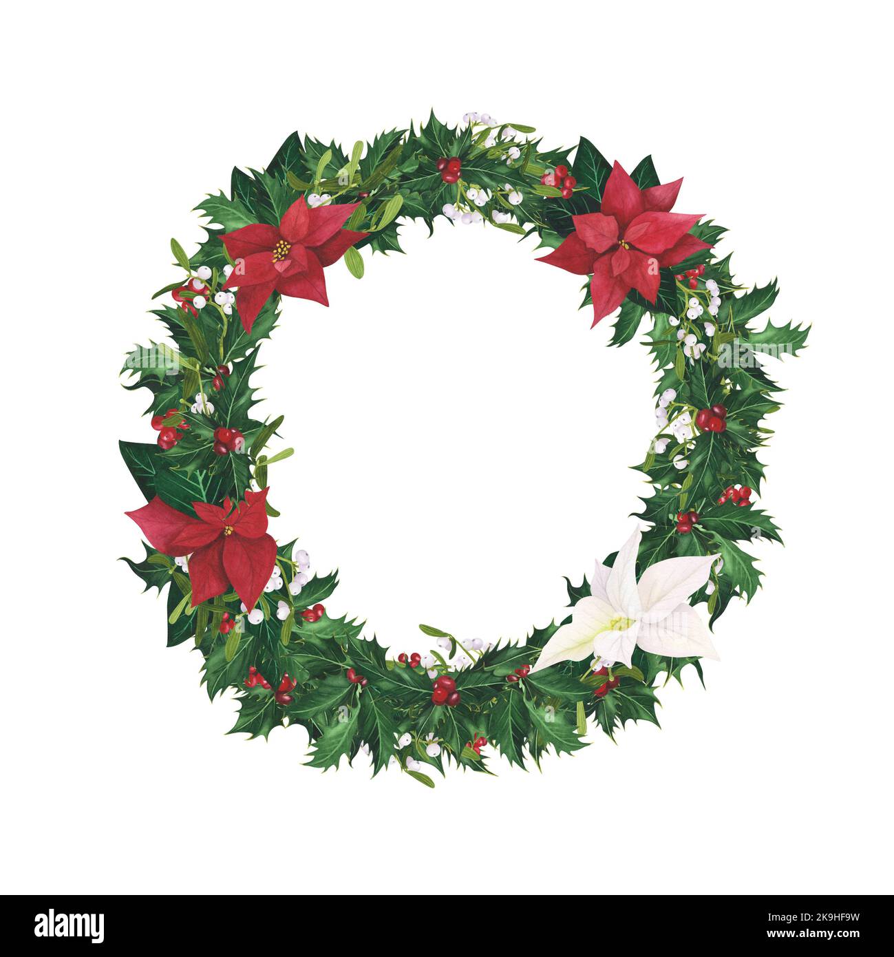 Corona Poinsettia, Mistletoe, Holly Natale Watercolor cornice isolata su sfondo bianco. Illustrazione o arte per design, tessuti, menu, poster Foto Stock