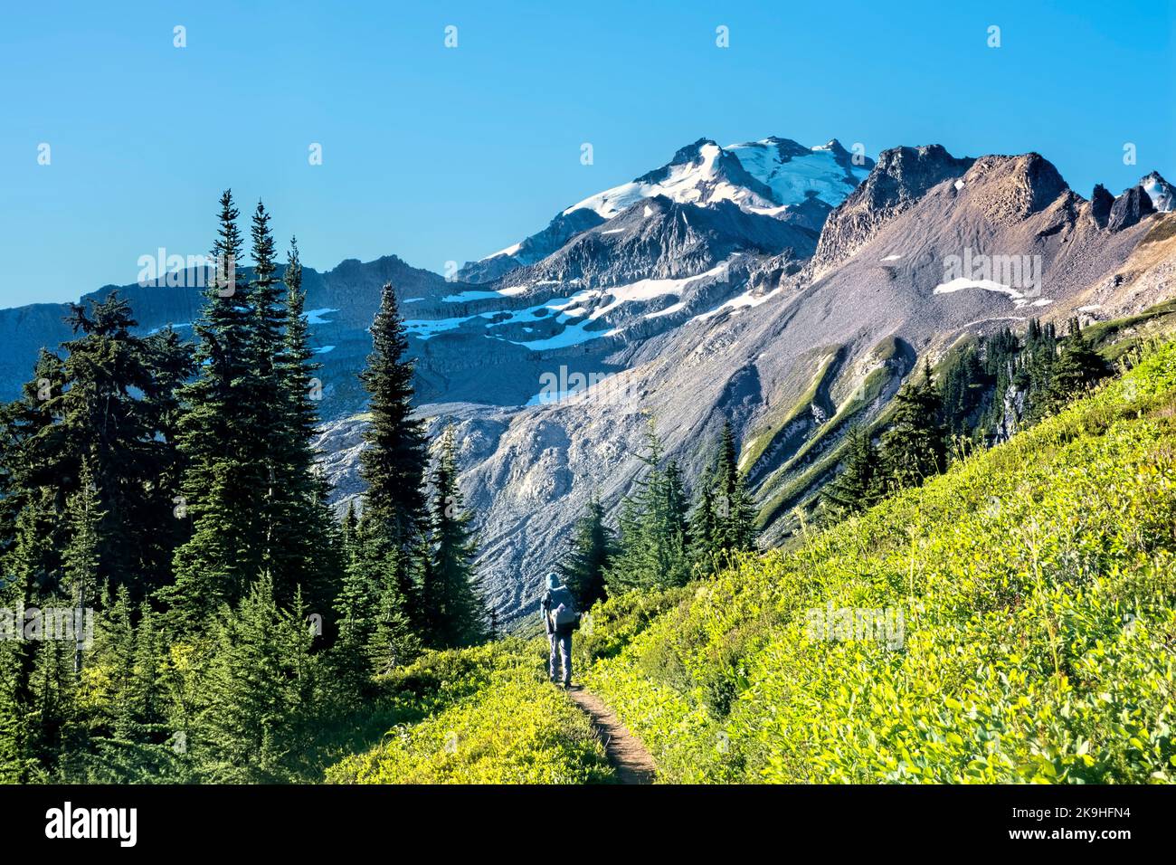 Trekking attraverso la Glacier Peak Wilderness, North Cascades, Pacific Crest Trail, Washington, USA Foto Stock