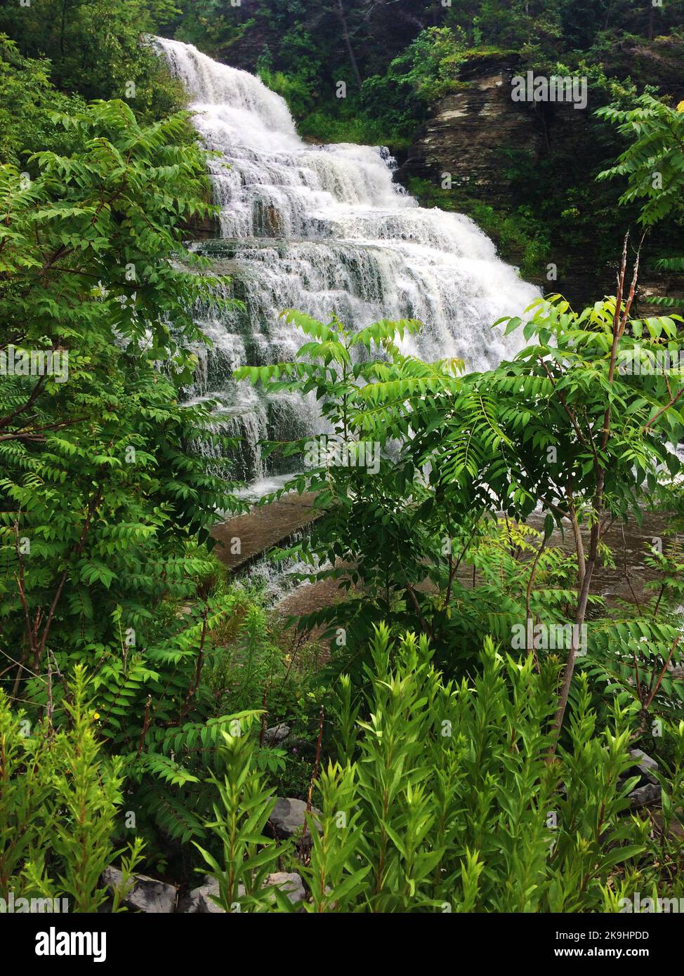 Hector Falls su Hector Creek si trova lungo l'autostrada 414 nella contea di Schuyler, New York Foto Stock