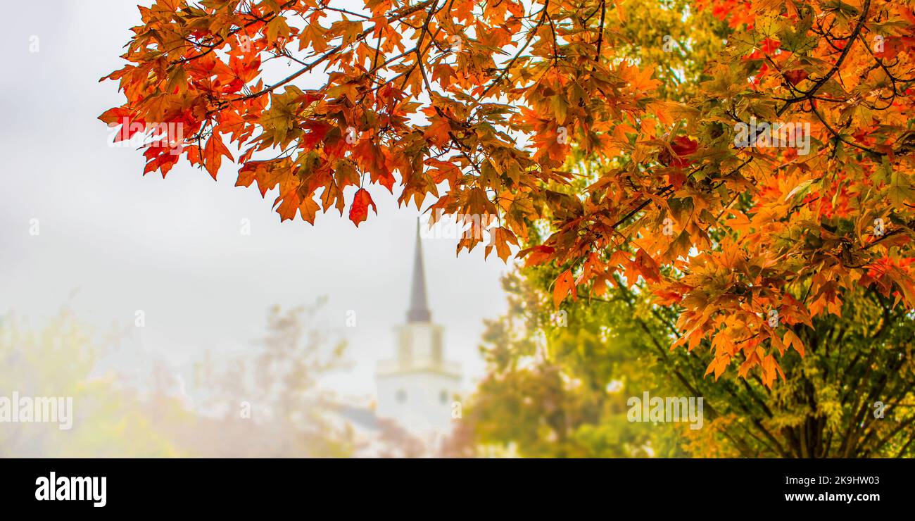 Sfondo autunnale con fogliame dai colori vivaci in primo piano sul lato e alberi sfocati e chiesa con campanile in background - banner web di mezza pagina Foto Stock