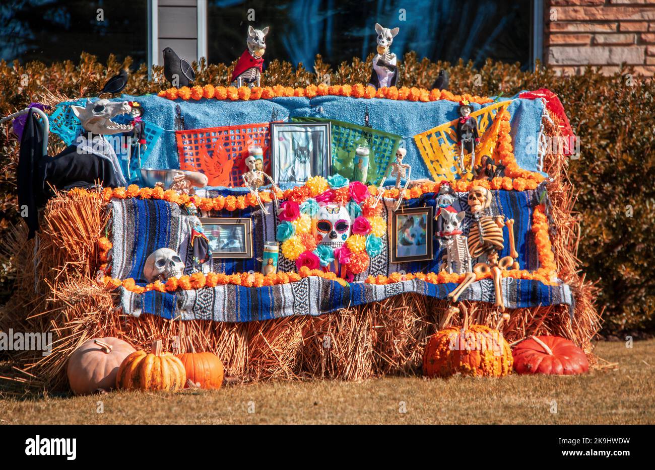 Decorazione di Halloween - giorno del santuario morto dedicato al cane da compagnia deceduto - ricordi disposti colorfully su balle di fieno impilate di fronte a casa Foto Stock