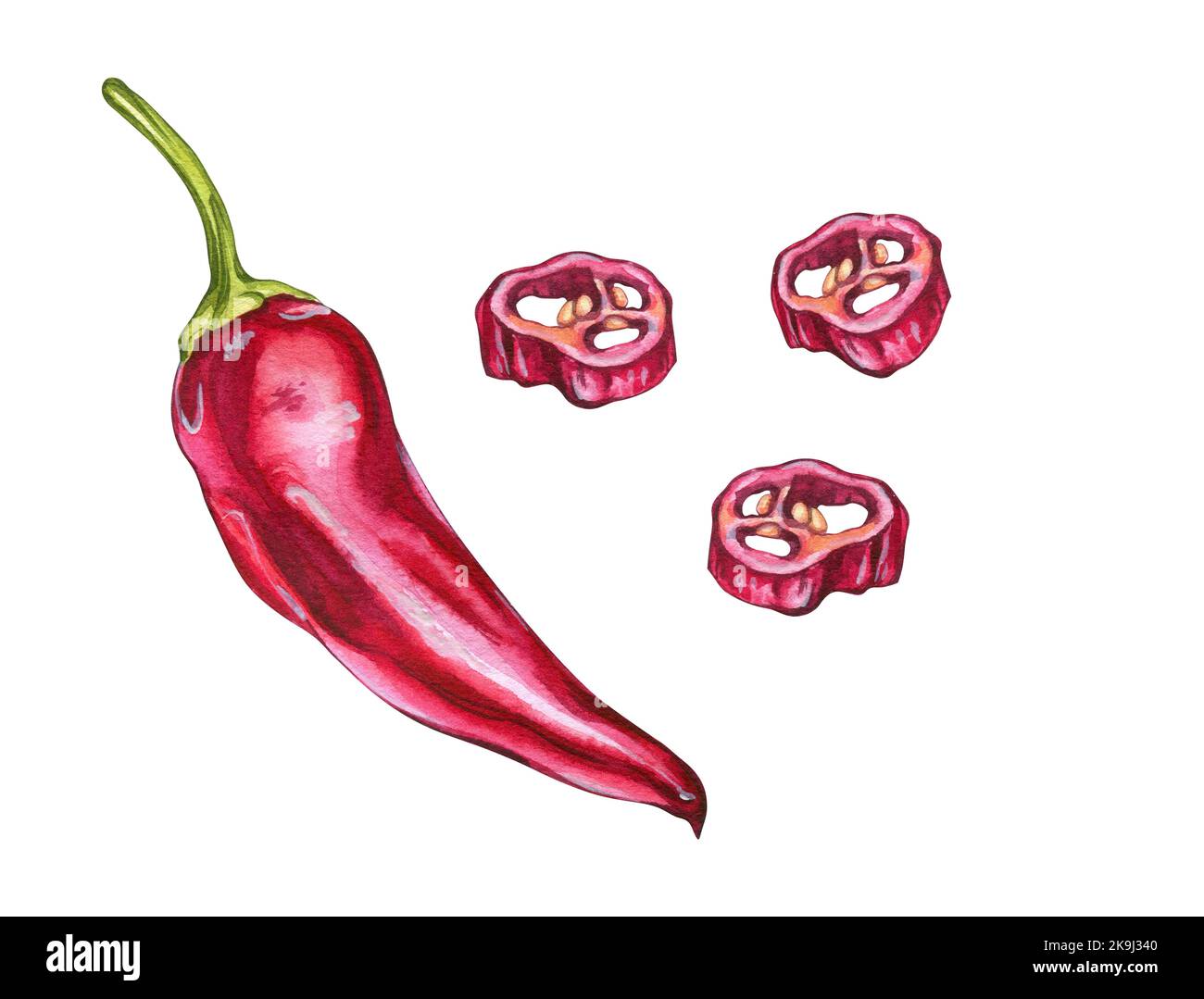 peperoncino rosso caldo. illustrazione in acquerello per la progettazione dei menu Foto Stock