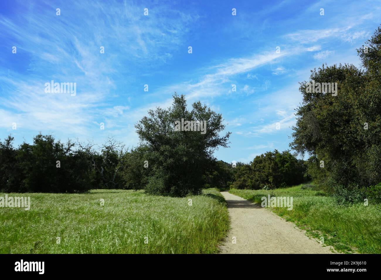Un sentiero escursionistico nel Parco Naturale di Caspers in una giornata di sole con cielo blu. Foto Stock